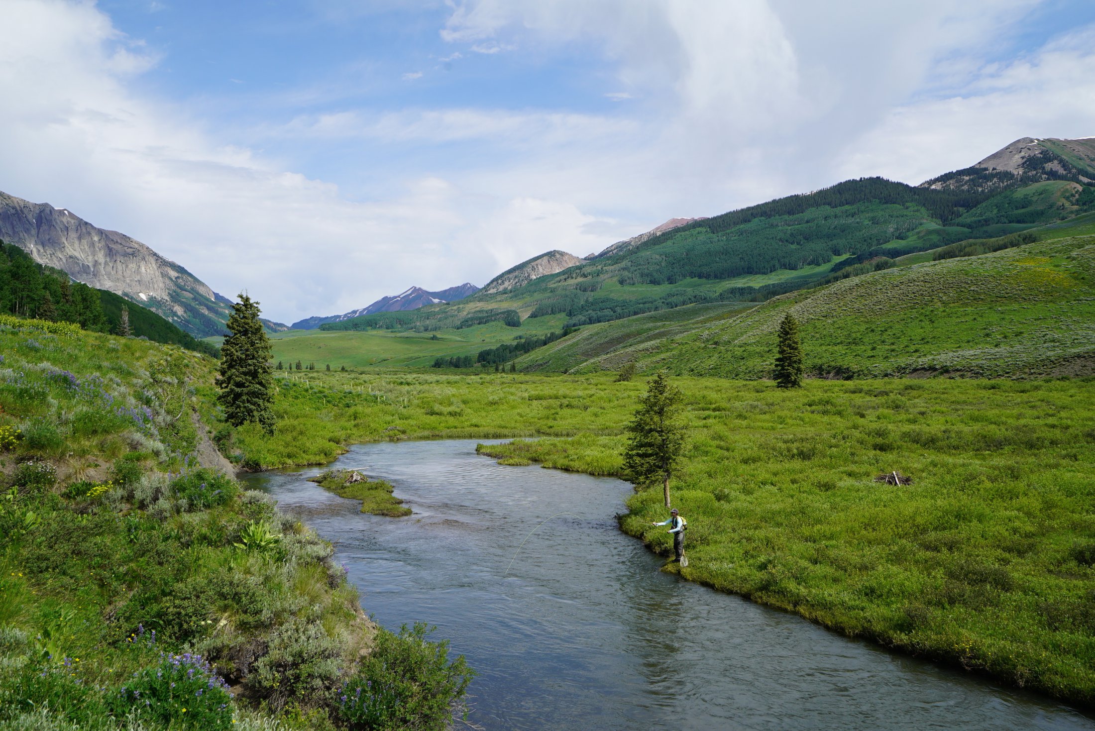 Endodontics Billings MT, Endodontist